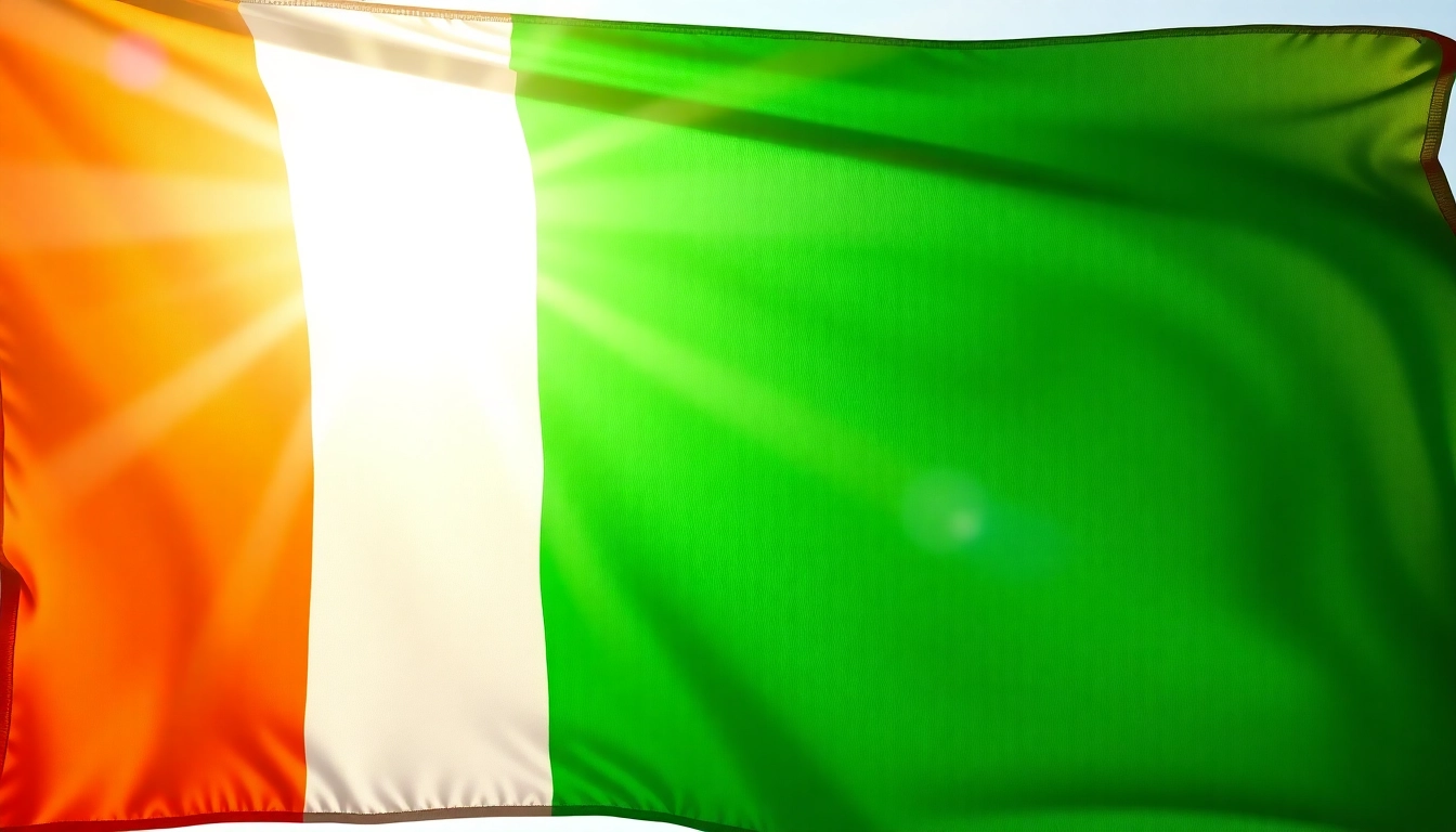 Create custom flags for Ireland with unique designs and vibrant colors, showcasing national pride.