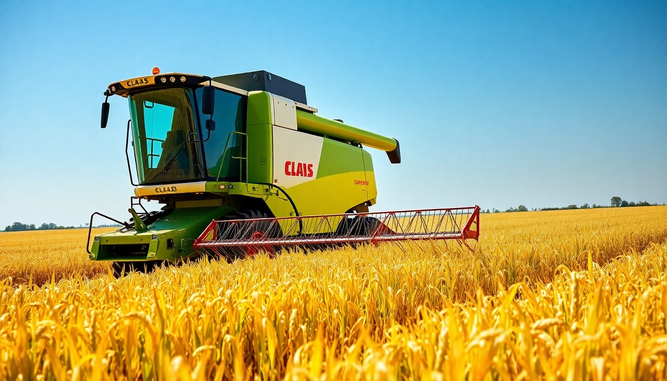 Claas Mähdrescher beim Ernten in einem goldenen Feld.